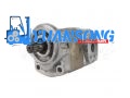 67110-31960-71 67110-31961-71 67110-31962-71 TOYOTA 2H Hydraulische Pomp 