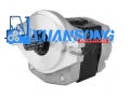 SGP1A30.8DZH9-R43 TCM FD30 hydraulische pomp 